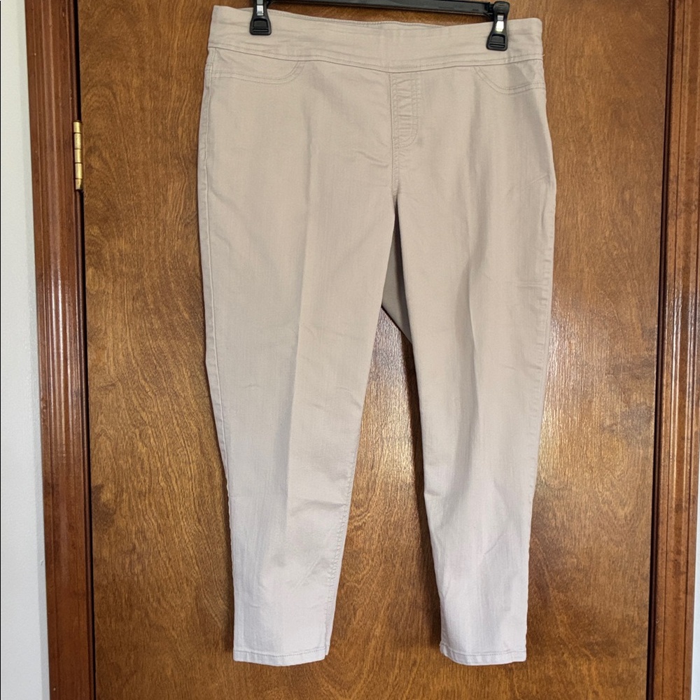Style & Co. Beige Skinny Ponte Pants